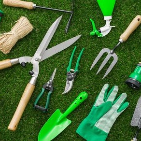 Дача, сад та город